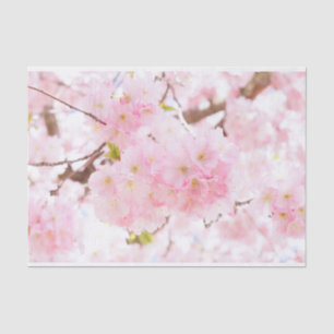 Pink Tree Sakura Cherry Blossom Tissue Paper