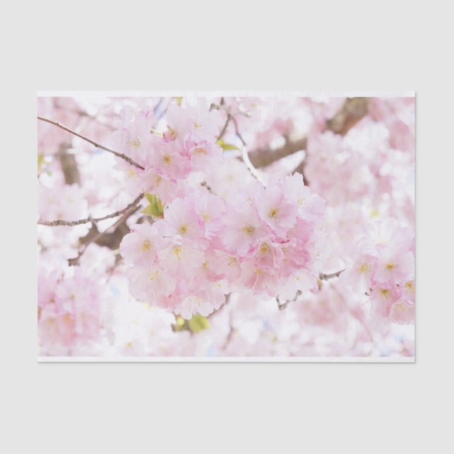 Pink Tree Sakura Cherry Blossom Tissue Paper (Front)