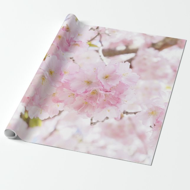 Pink Tree Sakura Cherry Blossom Wrapping Paper (Unrolled)