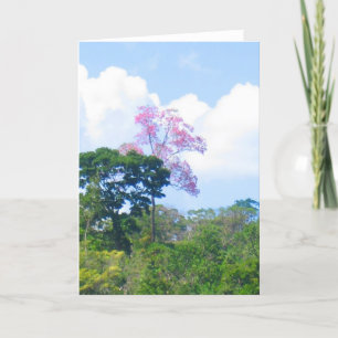 Pink Tree Venezuela Jungle Landscape Card