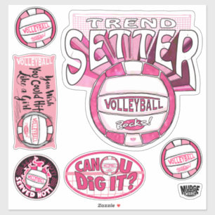 Pink Trend Setter Volleyball