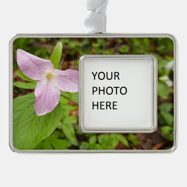 Pink Trillium Flower Silver Plated Framed Ornament (Front)