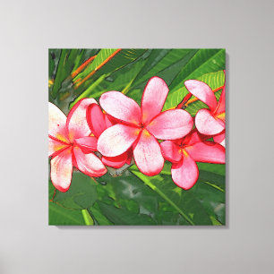 Pink Tropical Frangipani Art Canvas Print