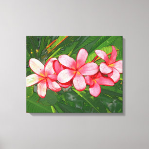 Pink Tropical Frangipani Art Canvas Print