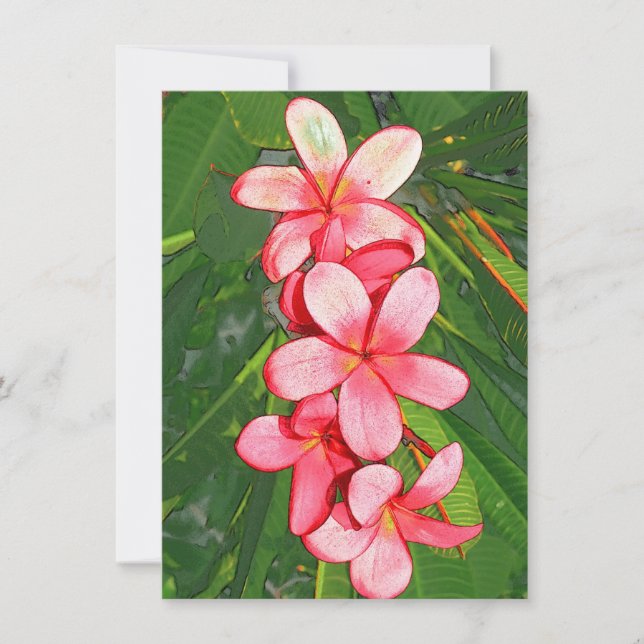 Pink Tropical Frangipani Art Card (Front)