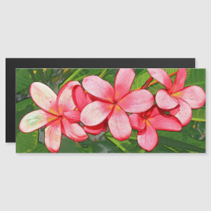Pink Tropical Frangipani Art Magnetic Invitation