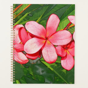 Pink Tropical Frangipani Art Planner