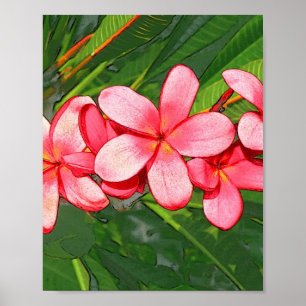 Pink Tropical Frangipani Art Poster