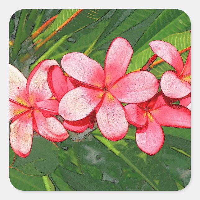 Pink Tropical Frangipani Art Square Sticker (Front)