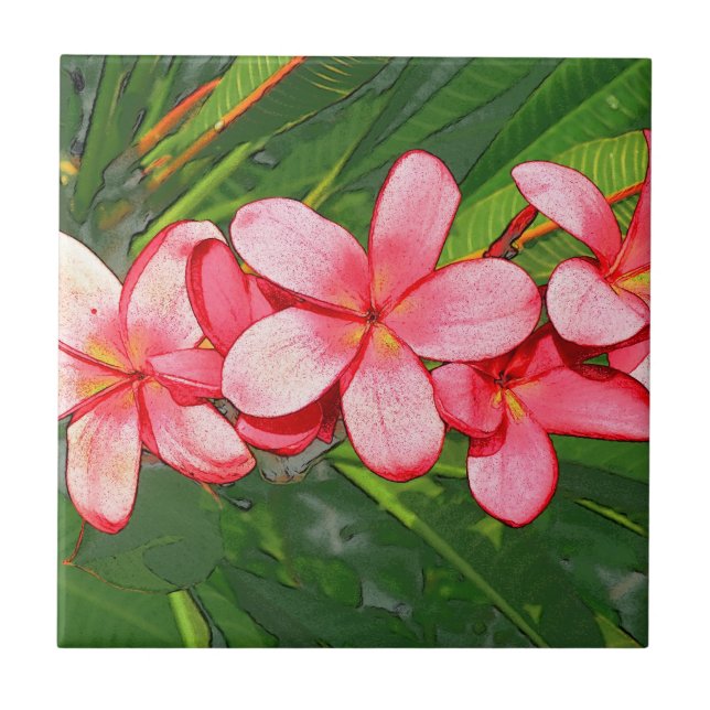 Pink Tropical Frangipani Art Tile (Front)