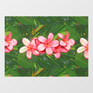 Pink Tropical Frangipani Art Window Cling