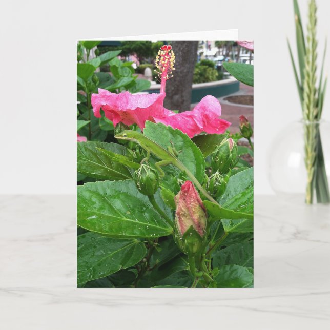 Pink Tropical Hibiscus Flower Camouflaged Lizard Card (Front)