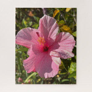 Pink Tropical Hibiscus, Oakland Jigsaw Puzzle