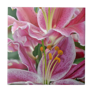 Pink tropical lily flowers tile