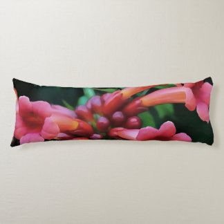 Pink Trumpet Honeysuckle Botanical Art Body Cushion