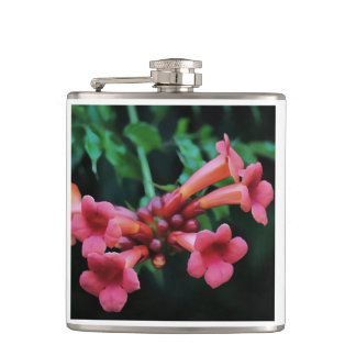 Pink Trumpet Honeysuckle Botanical Art Hip Flask