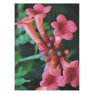Pink Trumpet Honeysuckle Botanical Art Tablecloth