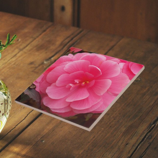 Pink Tuberous Begonia Floral Tile (In Situ)