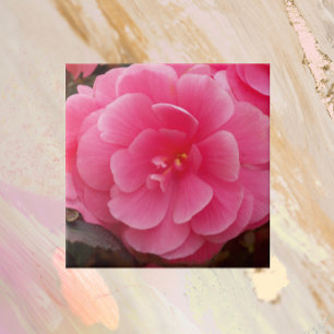 Pink Tuberous Begonia Floral Tile