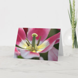pink tulip birthday card