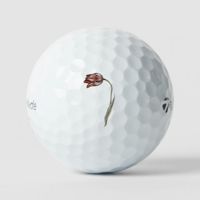 Pink tulip by Jean Bernard (1775-1883). Golf Balls (Front)