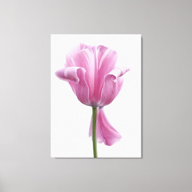 Pink tulip canvas print (Front)