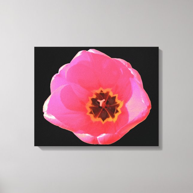 Pink Tulip Canvas Print (Front)