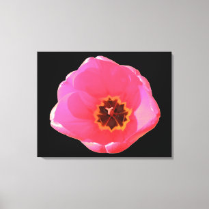 Pink Tulip Canvas Print