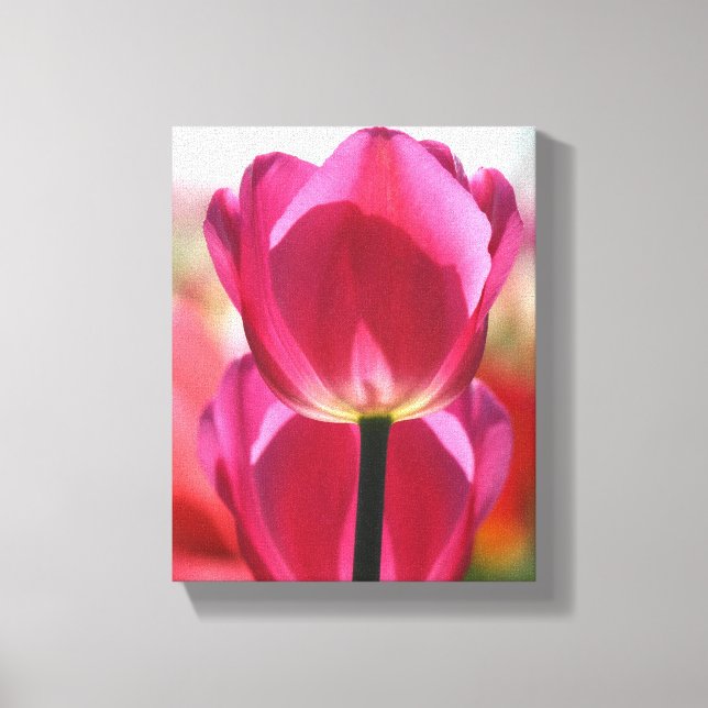 Pink Tulip Canvas Print (Front)
