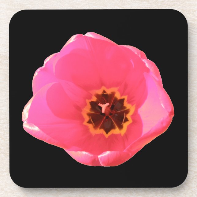 Pink Tulip Cork Coaster (Front)