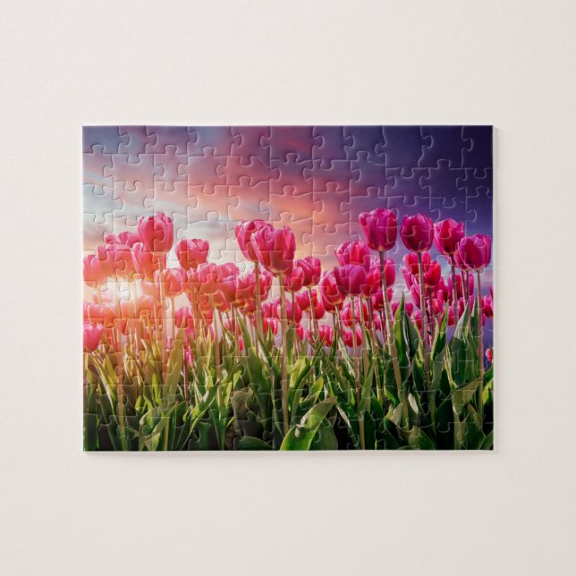 Pink Tulip Flowers Sunset Nature Netherlands Jigsaw Puzzle (Horizontal)