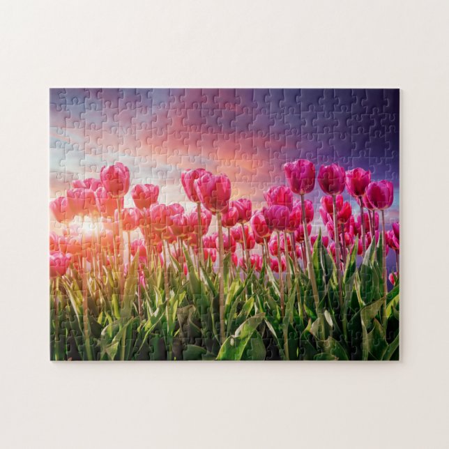 Pink Tulip Flowers Sunset Nature Netherlands Jigsaw Puzzle (Horizontal)