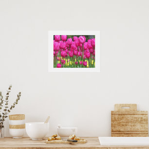 Pink Tulip Garden Floral Photographic Poster