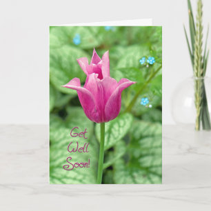 Pink Tulip Get Well Soon  Card