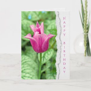 pink tulip in garden birthday card