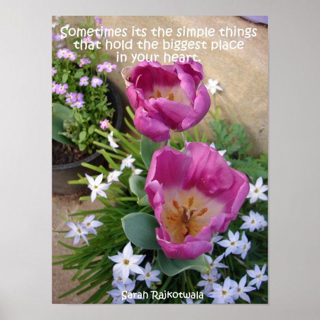 Pink Tulip Little Things Spring Garden Poster (Front)