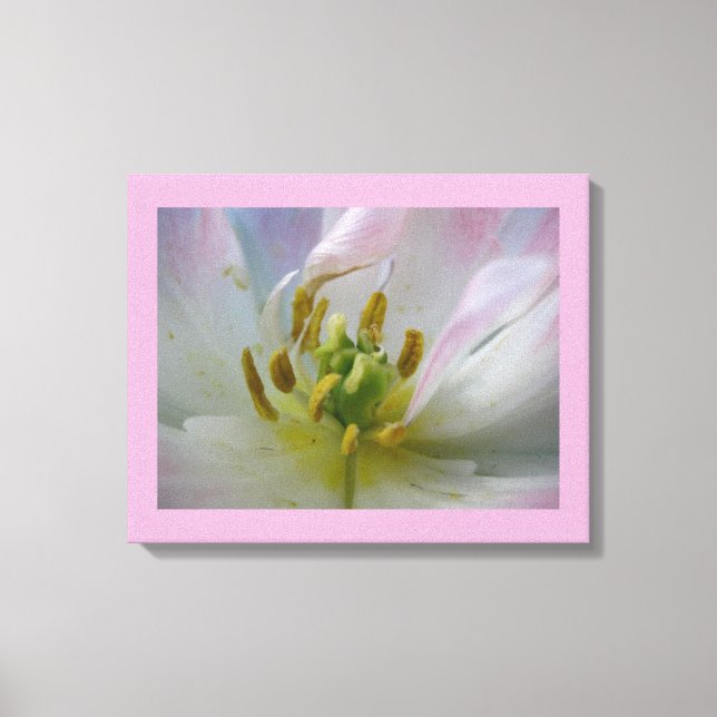 Pink Tulip Macro Photo Canvas Print (Front)