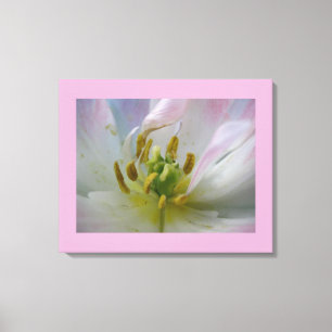 Pink Tulip Macro Photo Canvas Print