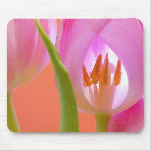 Pink tulip mouse mat