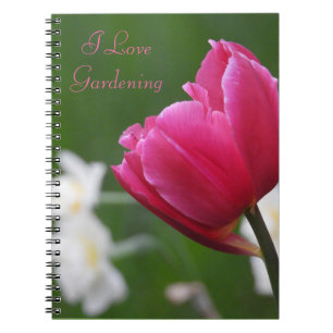 Pink Tulip Notebook