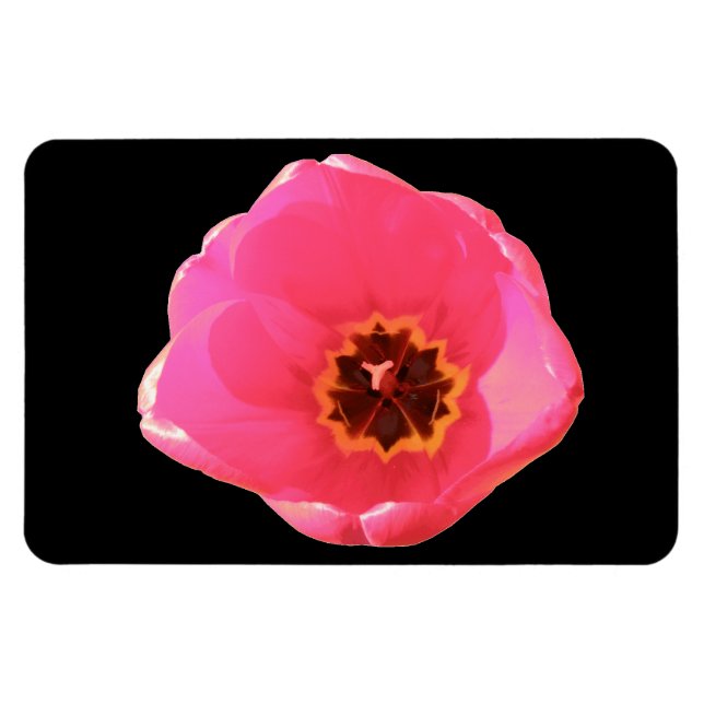Pink Tulip Premium Magnet (Horizontal)
