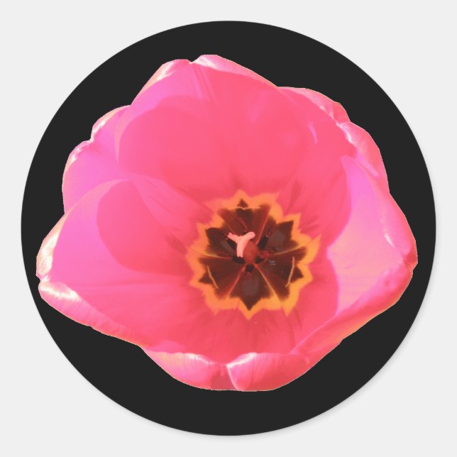 Pink Tulip Sticker (Front)