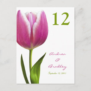 Pink Tulip Table Number Card