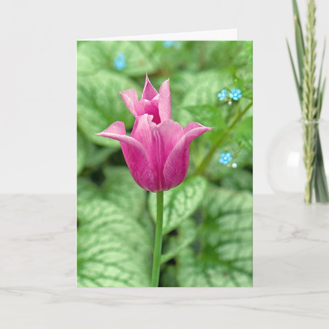 pink tulip thank you (Front)