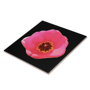Pink Tulip Tile