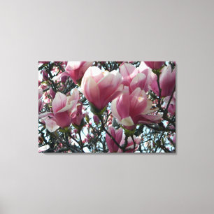 Pink "Tulip Tree" Blossoms Wrapped Canvas Print