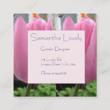 Pink Tulip Tulips Garden Square St