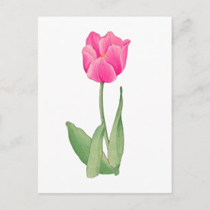 Pink tulip , vintage Japanese art 12 x 1`6 Postcard