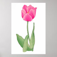 Pink tulip , vintage Japanese art
