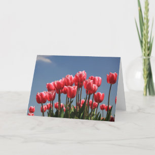 pink tulips and a blue sky holiday card